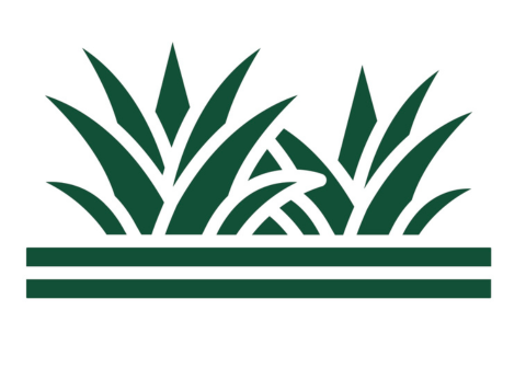 untitled design (11)